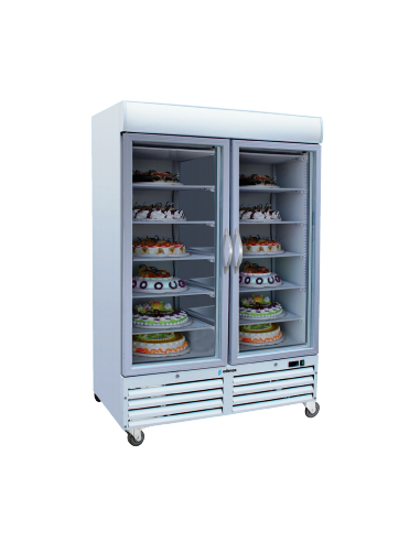 ARMARIO EXPOSITOR CONGELADOS ACE902C