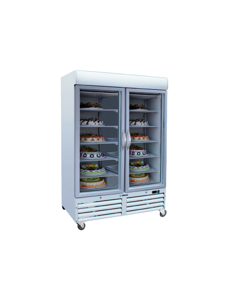 ARMARIO EXPOSITOR CONGELADOS ACE902C
