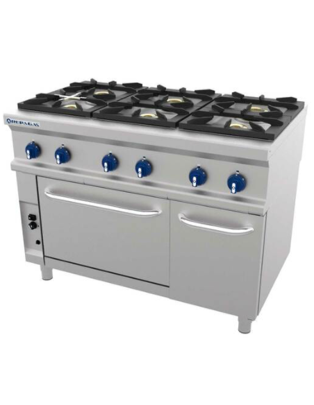 COCINA REPAGAS 6 FUEGOS + HORNO (FONDO 750)