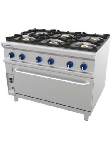 COCINA REPAGAS 6 FUEGOS + HORNO MAXI