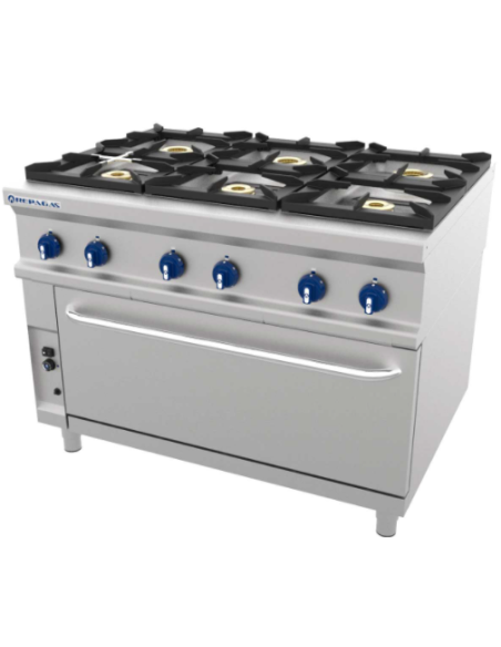 COCINA REPAGAS 6 FUEGOS + HORNO MAXI