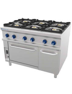 COCINA REPAGAS 6 FUEGOS + HORNO