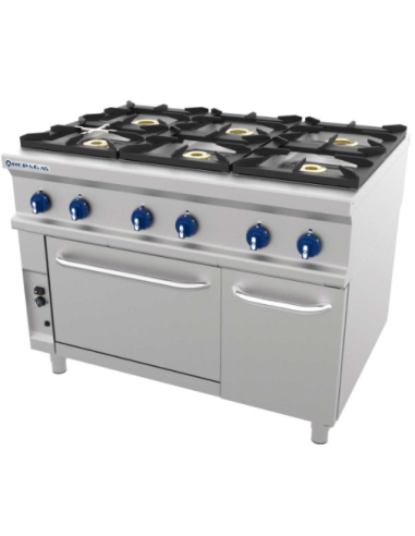 COCINA REPAGAS 6 FUEGOS + HORNO